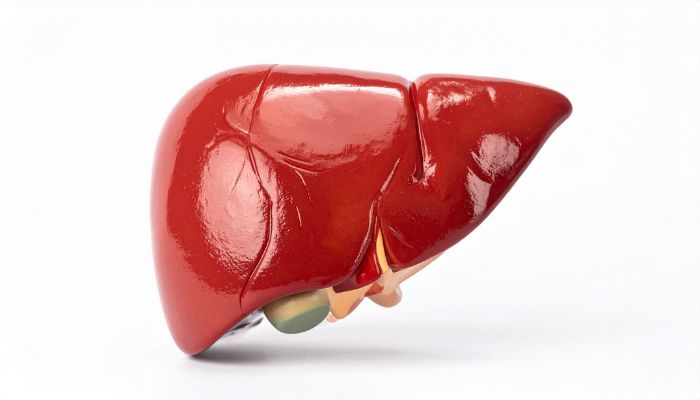 What to Expect During Your Visit to the Best Liver Specialist in Ahmedabad